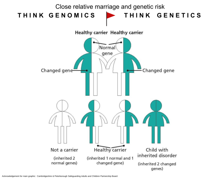 Close relative marriage and genetic risk.png